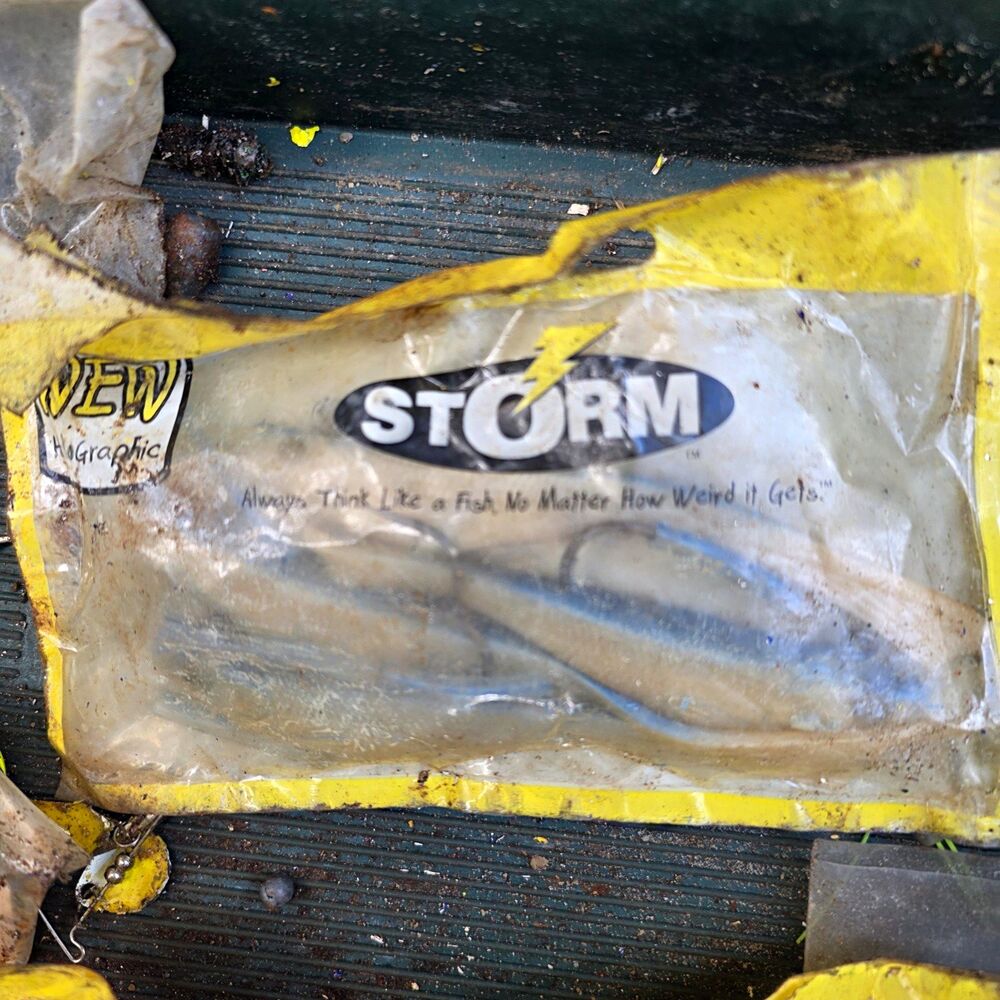 Storm WildEye Shad Soft Plastic Lure 3 in Silver/Blue 2-Pack WES03